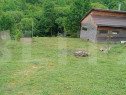 Teren intravilan, de vanzare, 1250 mp+ cabana, zona Valea Gh