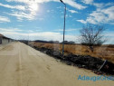 Teren extravilan investitii, 10350 mp, Mosnita Noua-Albina