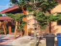 OCAZIE!!! se vinde casa de oaspeti in Teisori / Giurgiu