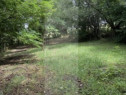 Teren Intravilan 974mp zona Mănăstirea Doamnei