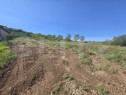 Teren intravilan, 1402 mp, zona Micesti