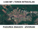 Teren intravilan - 4500 mp - Izvorani - Padurea Snagov