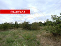 Teren intravilan 1.765 mp in Poiana Lacului, AG