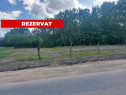 Teren intravilan 1843 mp - Cerbu/Albota/Arges - cu proiect d