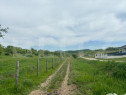 Teren extravilan, zona Sigmir,500mp