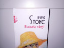 Bucuria vieții – Irving Stone (roman despre Vincent van Gogh