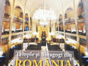Temple și sinagogi din România, Alta editura, 2018