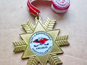C676-I-Medalie Ski si Maratonisti germani bronz aurit email.