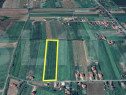Teren intravilan | 11.500mp | Decebal