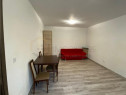 Apartament 1 camera la curte comuna - Recent renovat - Zona