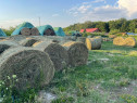 Baloti de calitate de lucerna din agricultura ecologica