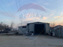 Hala - Spațiu industrial de Inchiriat