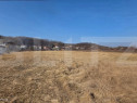 Teren intravilan de vanzare, 20.000 mp, zona Viișoare