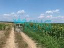 Teren extravilan I 17.900mp I Uliesti Dambovita