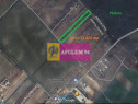 Săbăreni, teren 12620 mp pentru case, lângă pădure