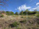 Teren Intravilan de vanzare, 900 mp, zona Valea Jelnei