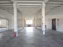 Hală producție/depozitare, de vanzare, 2600 mp, zona Bari