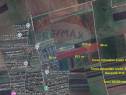 Teren 38.500 mp Tărlungeni / Strada Cartier Valea cu flori