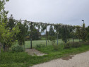 Proprietate Beharca teren 38464mp