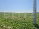 Teren intravilan 1089-1018 mp in zona Pielesti