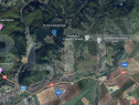2 Terenuri &icirc;n Zărnești &ndash; Zona Brebina ; Investiție cu