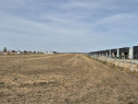 Teren intravilan 16.248 mp - Domnesti