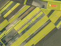 Teren agricol extravilan – Rătești, Argeș