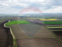 Teren 86,000mp Suceava / DN 17