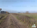 Super teren intravilan (Lot 2) la DJ 101, loc. Gruiu IF, id
