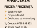 Angajam Frizer Xentricia Solar Beauty