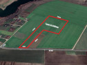 TEREN INTRAVILAN FUNDULEA 63.000 MP , jUD. CALARASI DE VANZ