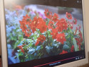 Monitor Samsung - 720N