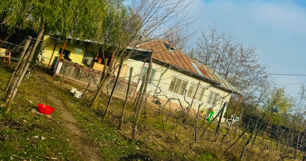 Casă la doar 35 km de bucurești, movilița