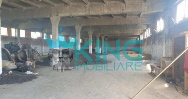 Buzau - vernesti / spatiu industrial + hale / toate utilitat