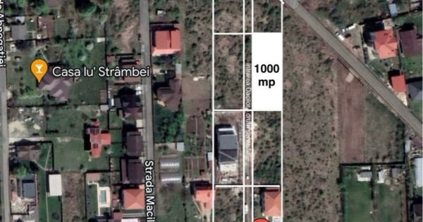 Teren intravilan - domnesti, ilfov 1000mp