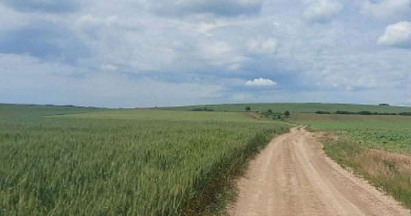 Teren extravilan, comuna plesoiu, jud olt