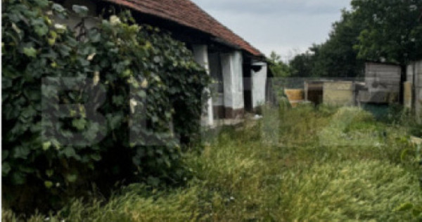 Teren 22ari în martinesti