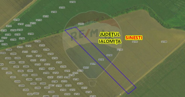 Teren 8,814mp sinesti / drumul tarla 226/1