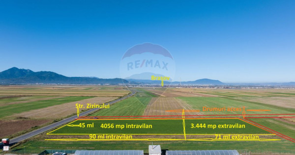 Teren 7,500mp tarlungeni / strada zizinului