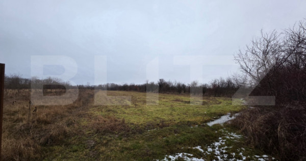 Teren deschidere la drum, 4172 mp – frasin deal, lângă p