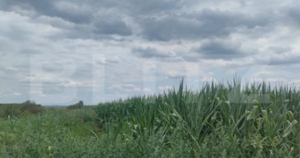 Teren extravilan, 2000mp, zona redi, horodnic de sus