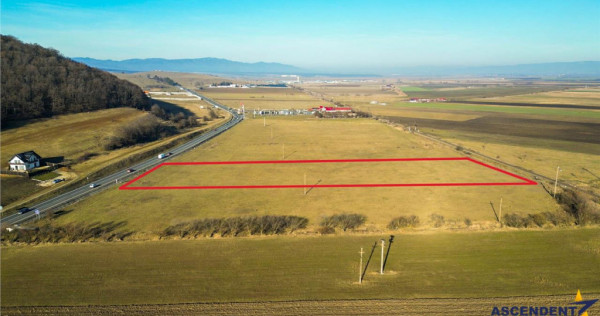 Film! 16.000 mp, teren intravilan, construibil, conditii apr