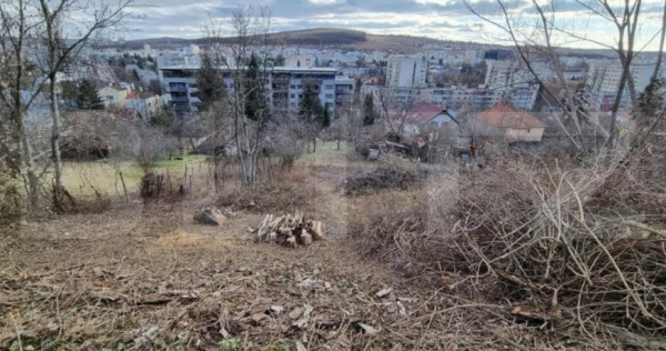 Teren intravilan, 3500 mp, zona platoul cornesti