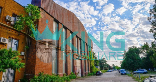 Hala industriala | 2 poduri rulante 15t/12,5t | 1650 mp disp