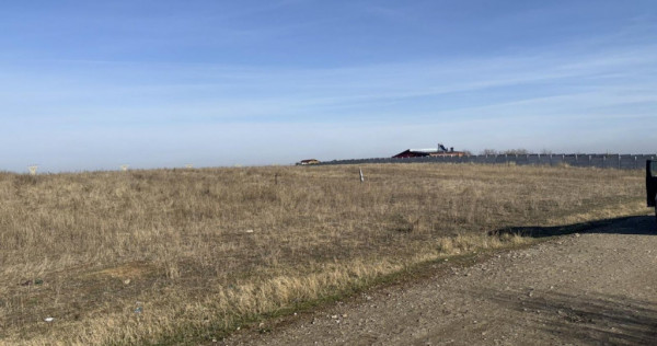 Teren intravilan 500mp, pielesti, langa lac
