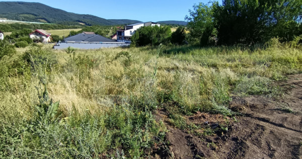 Teren în suprafață de 1100 mp, pe strada crasnei