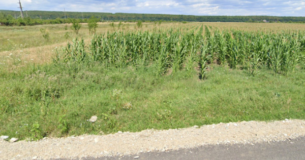 Teren de vanzare dragomiresti dambovita /negociabil