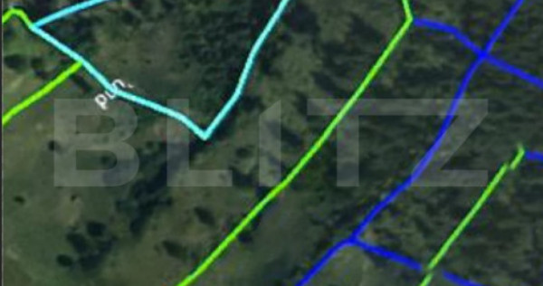 Padure 1,42 hectare in poiana ilvei