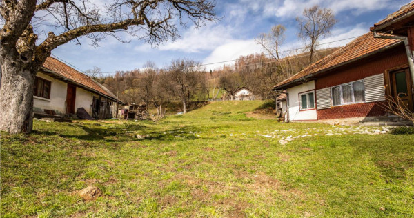 Film! rezidenta traditionala, peisagistica impresionata, dom