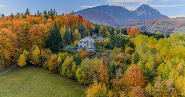 Oferta! casă / vilă cu 7 camere de vânzare/ poiana mar...